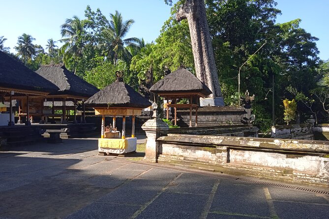 [All Inclusive] The Soul of Bali: Temples, Art & Traditions Tour - What All Inclusive Means Here: Tickets and Transfers