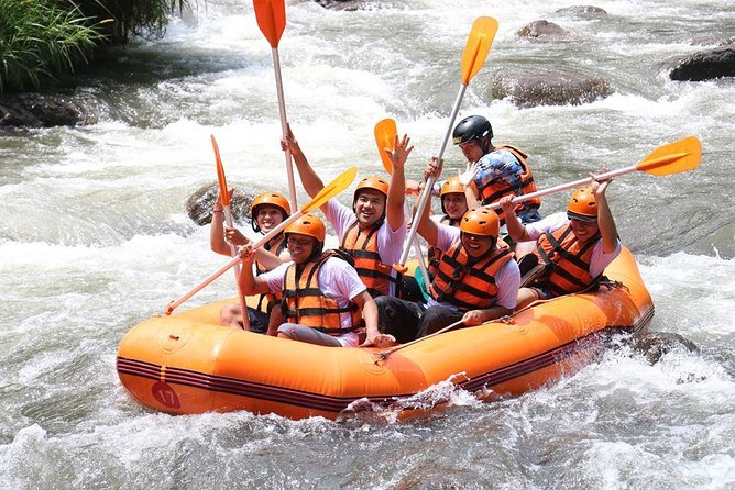 All Inclusive - Toekad Ubud Ayung River Rafting - Rapids Reality Check: Class II Thrills and Rain-Season Class IV Energy