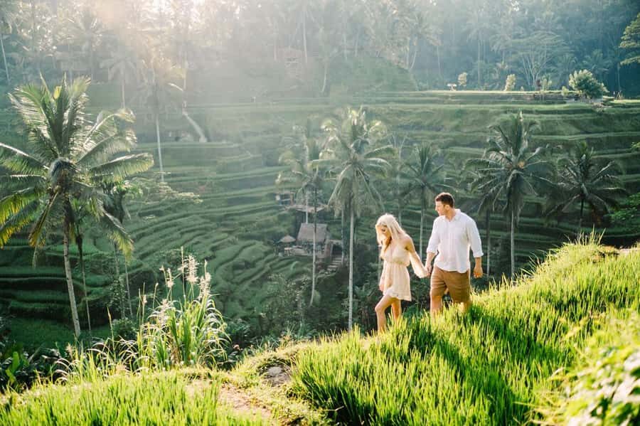 All Inclusive Ubud Private Day Tour - How the 8-Hour Ubud Day Actually Feels
