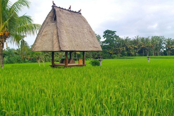 All-Inclusive Ubud Private Tour - Tegalalang Rice Terrace and the Subak Irrigation Story