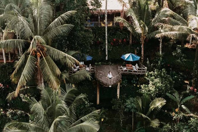 All-Inclusive Ubud Private Tour - Tegenungan Waterfall: The Roaring Finish in Green