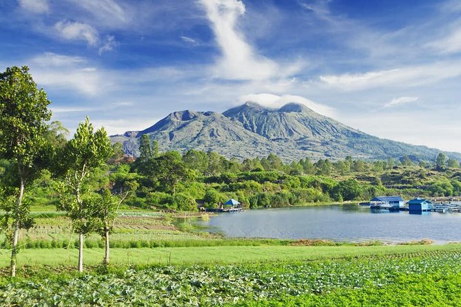 All Inclusive Ubud Tour with 15 Sitter Van - Guides are the difference: safety, English, and allergy care