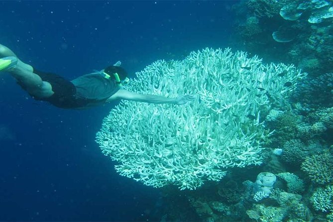 All Ticket Inclusive-Blue Lagoon Snorkeling-Ubud Monkey Forest & Ubud Waterfall - Stop 2: Sacred Monkey Forest Sanctuary and the Tri Hita Karana Idea