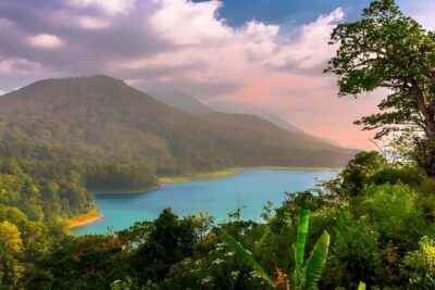 Amazing Bali Dolphin Watching Trip Experience - Getting from Seminyak to Lovina without turning your day into a mess