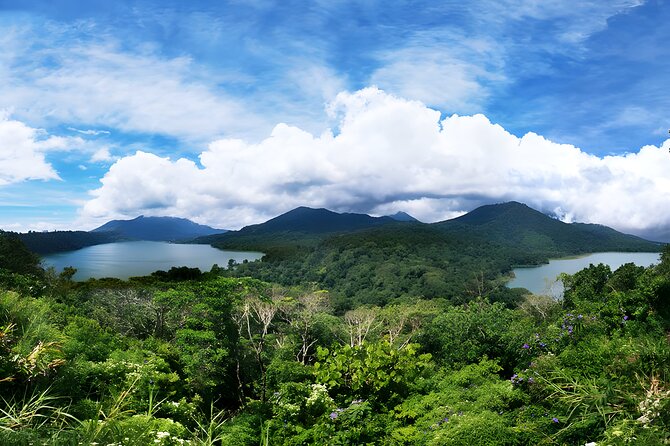 Amazing Bali Dolphin Watching Trip Experience - Ulun Danu Bratan Temple and Bedugul: the lakeside payoff