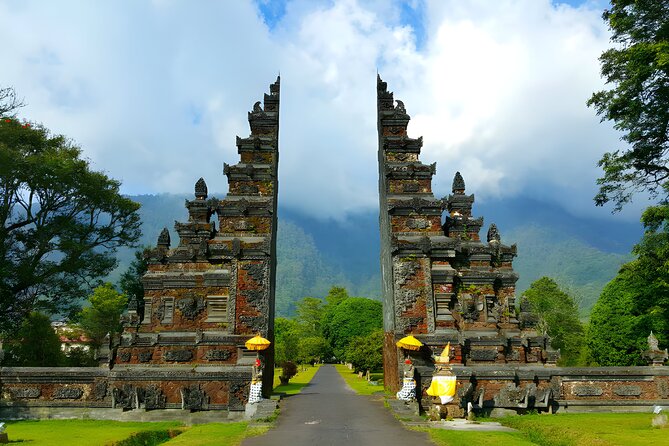 Amazing Bali Dolphin Watching Trip Experience - Private tour setup: what it changes for your comfort
