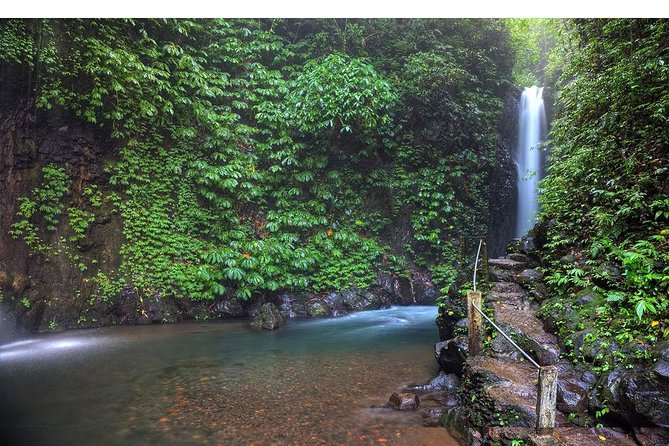Amazing Private Tours: Dolphins Lovina and Gitgit Waterfall include Lunch - Lunch and Candikuning Market: Fuel and Souvenirs Without the Stress