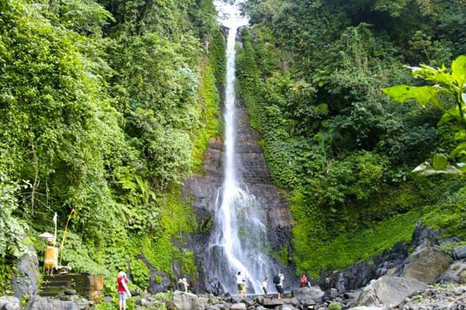 Amazing Private Tours: Dolphins Lovina and Gitgit Waterfall include Lunch - Value Check: Is $78.50 per Person Fair?