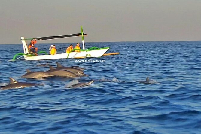 Amazing Private Tours: Dolphins Lovina and Gitgit Waterfall include Lunch - Who Should Book This Dolphins and Gitgit Tour?