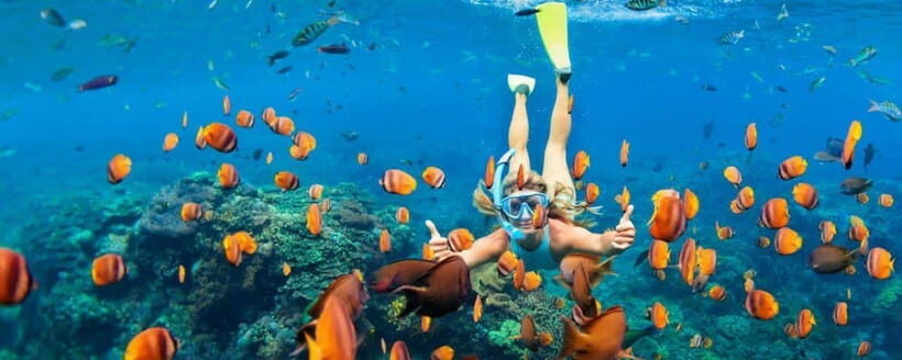 Amed: Snorkeling Tour with Japanese Shipwreck and Coral … - Key highlights to know before you go