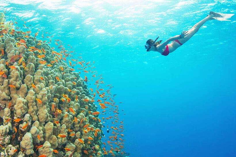 Amed: Snorkeling Tour with Japanese Shipwreck and Coral … - Amed snorkeling feels different from the usual Bali scene