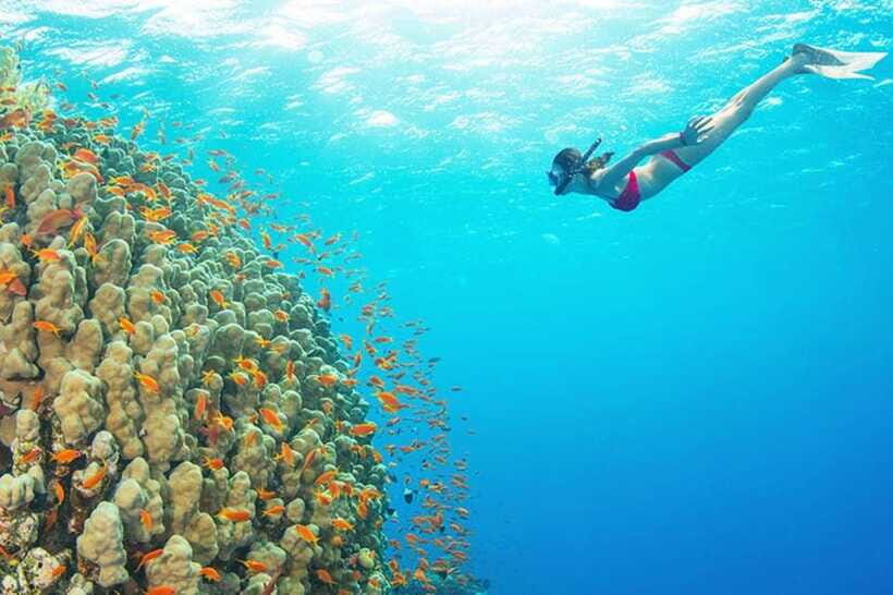Amed: Snorkeling Tour with Japanese Shipwreck and Coral … - Selang Beach coral garden: croissant-shaped bay and a beginner-friendly finish