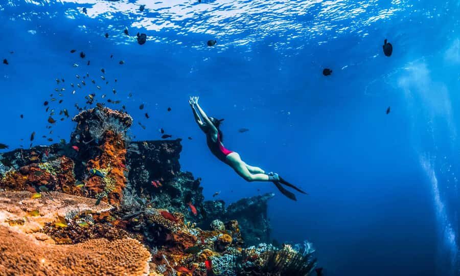 Amed: Snorkeling Trip to the Japanese Shipwreck - Key highlights you’ll care about