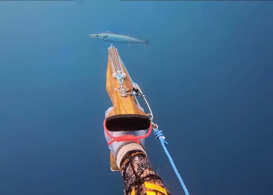 Amed: Spearfishing, Freediving and Catch & Cook Adventure - Key reasons this Amed spearfishing experience works