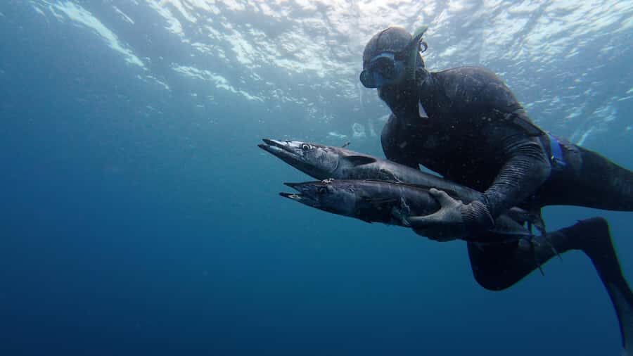 Amed: Spearfishing, Freediving and Catch & Cook Adventure - Safety Briefing and Skill Coaching (Beginners Included)