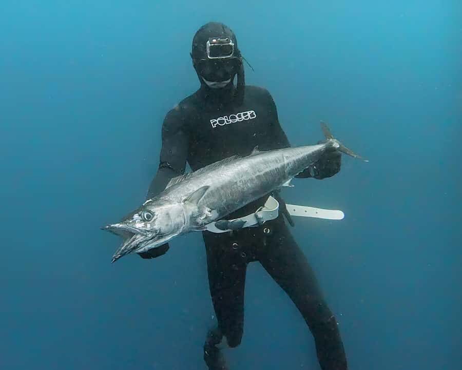Amed: Spearfishing, Freediving and Catch & Cook Adventure - Reef vs. Blue-Water Hunting: What You Might See