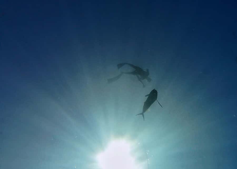 Amed: Spearfishing, Freediving and Catch & Cook Adventure - The Boat, the Equipment, and What You Should Bring