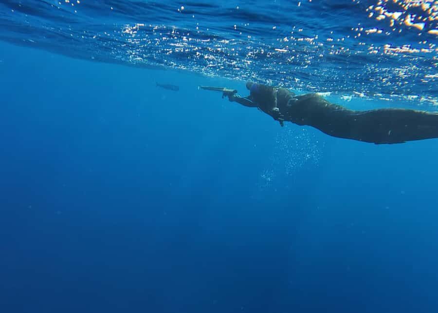 Amed: Spearfishing, Freediving and Catch & Cook Adventure - Ocean-to-Table Dinner: Fresh Catch Gets the Spotlight