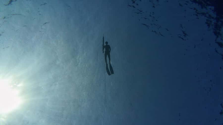 Amed: Spearfishing, Freediving and Catch & Cook Adventure - Price and Value: $277 for a Private Group Up to 2