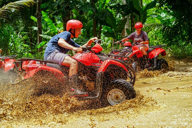 ATV Quad Bike Bali with Waterfall Gorilla Cave and Lunch - Lunch in Nature: Rice Terrace Views and a Post-Ride Reset
