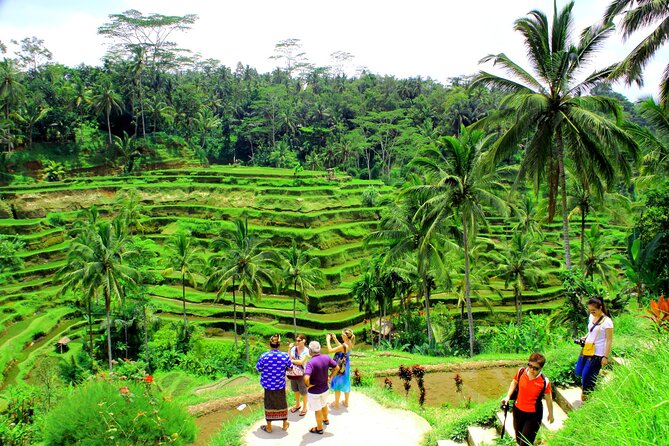 ATV Quad Bike with Kintamani Volcano Tour - All Inclusive - Dadi Bali Adventures: the ATV ride through rice, river, and jungle terrain