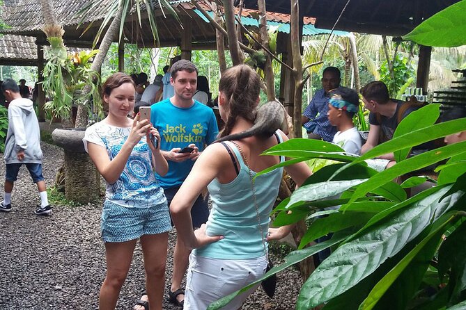 ATV Quad Bike with Kintamani Volcano Tour - All Inclusive - Guides and drivers: what the best days feel like