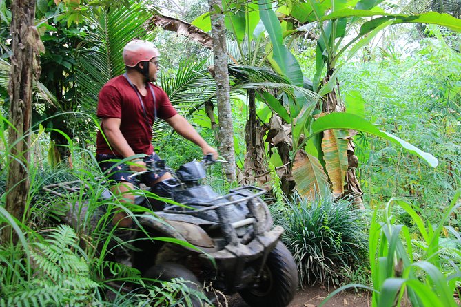 ATV Quad Bike with Kintamani Volcano Tour - All Inclusive - Kintamani for Mount Batur views: why the altitude pause is the payoff