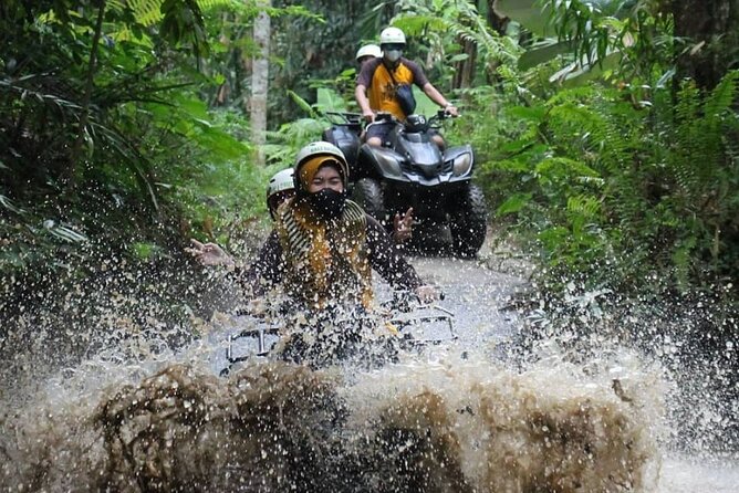 ATV Ride at Ubud Country Side Include Private Transport Hotel Pick-Up and Return - Price and Logistics: What You’re Really Paying For