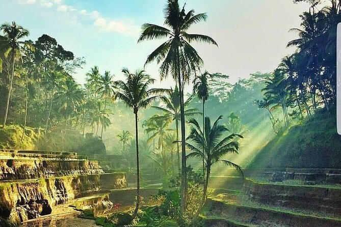 ATV Ride & Ubud Tour - What You’re Really Buying: One Price, Four Blocks of Fun