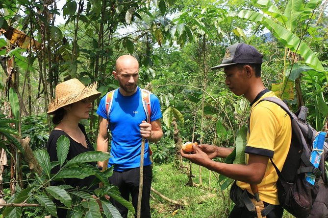 Authentic hike in the forest with lunch at the inhabitant - The 4-hour flow: timing and how the day is paced