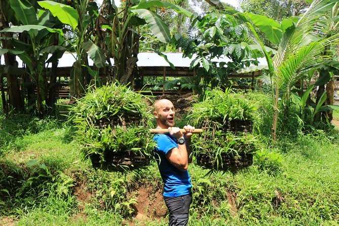 Authentic hike in the forest with lunch at the inhabitant - Vegetable harvesting: where lunch starts