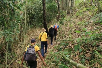 Authentic hike in the forest with lunch at the inhabitant - Fruit picking in the Balinese forest: the hands-on part