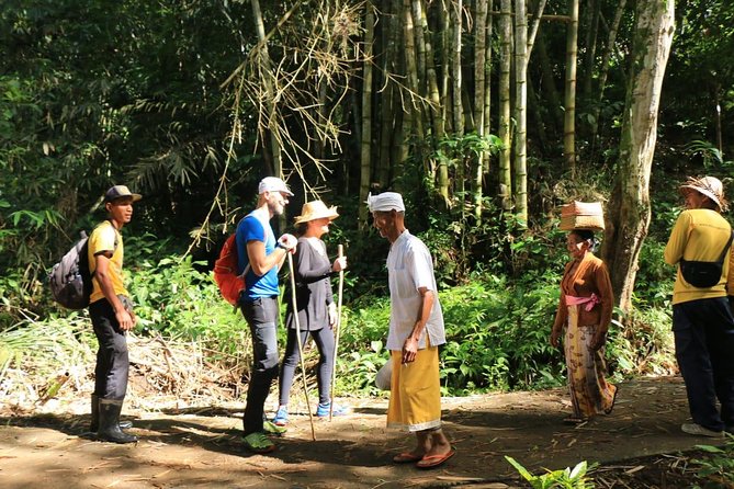 Authentic hike in the forest with lunch at the inhabitant - Cooking at the Balinese host’s home: the lunch you remember