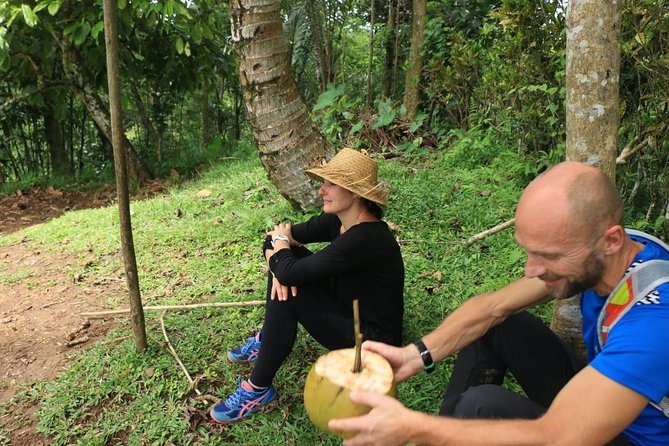 Authentic hike in the forest with lunch at the inhabitant - The guide experience: what to look for, especially in French