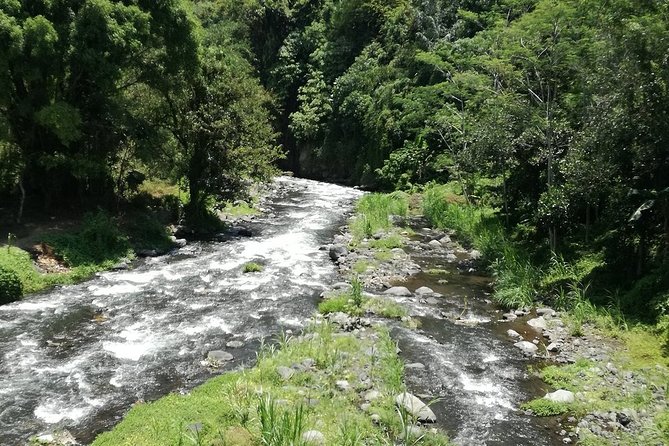 Ayung Rafting Ubud (Include Lunch & Return Transportation) - Finish Point, Then Lunch: Why the Post-Raft Plan Works