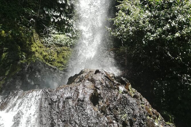 Ayung Rafting Ubud (Include Lunch & Return Transportation) - Picking This If You Want a Real Bali Day (Without Over-Planning)