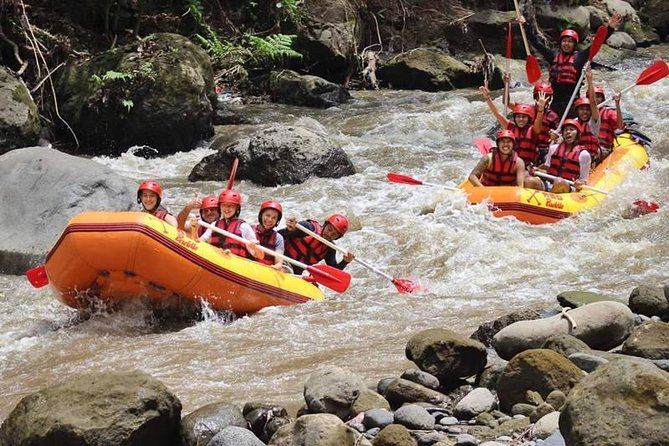 Ayung River Half-Day White Water Rafting Bali in Ubud - Your Boat Setup: 4–6 Paddlers, One Instructor, Real Safety Gear