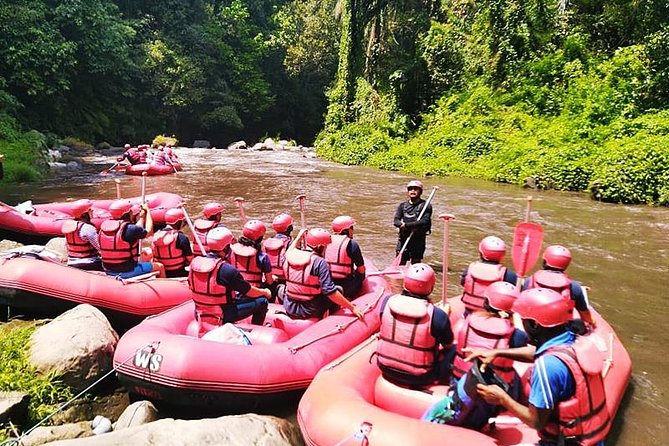 Ayung River Half-Day White Water Rafting Bali in Ubud - Price and Value: Why $28 Can Make Sense Here