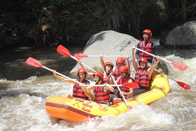 Ayung River - White Water Rafting Bali - Ayung River in Ubud: why Grade II–III feels like real adventure