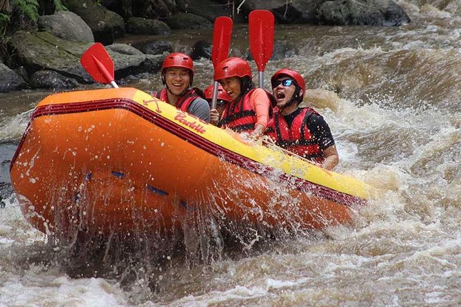 Ayung River - White Water Rafting Bali - On the water: what the Ayung River run feels like in practice