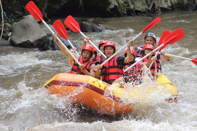 Ayung River - White Water Rafting Bali - Should you book this Ayung River white-water rafting with Eco Bali Tours?