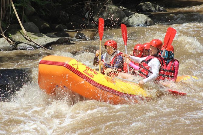 Ayung River - White Water Rafting Bali - FAQ