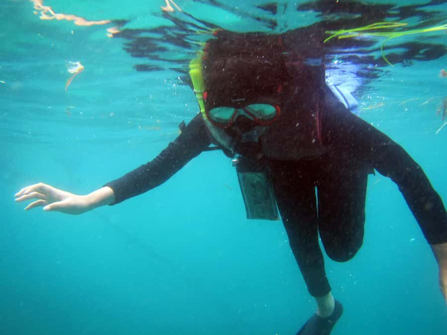 Bali: 1 Hour Snorkeling at Nusa Dua Beach - Key Highlights You’ll Actually Feel