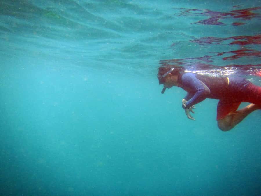 Bali: 1 Hour Snorkeling at Nusa Dua Beach - Bread Feeding, Floating Rubbish, and Water Clarity: What to Watch For