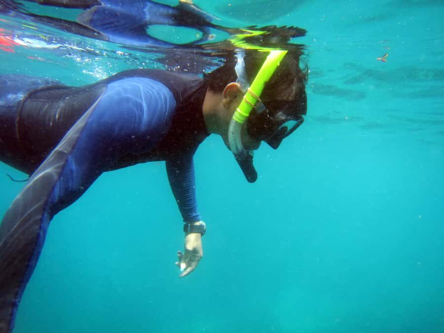 Bali: 1 Hour Snorkeling at Nusa Dua Beach - Group Size, Timing, and Optional Pickup: The Smoothness Factor
