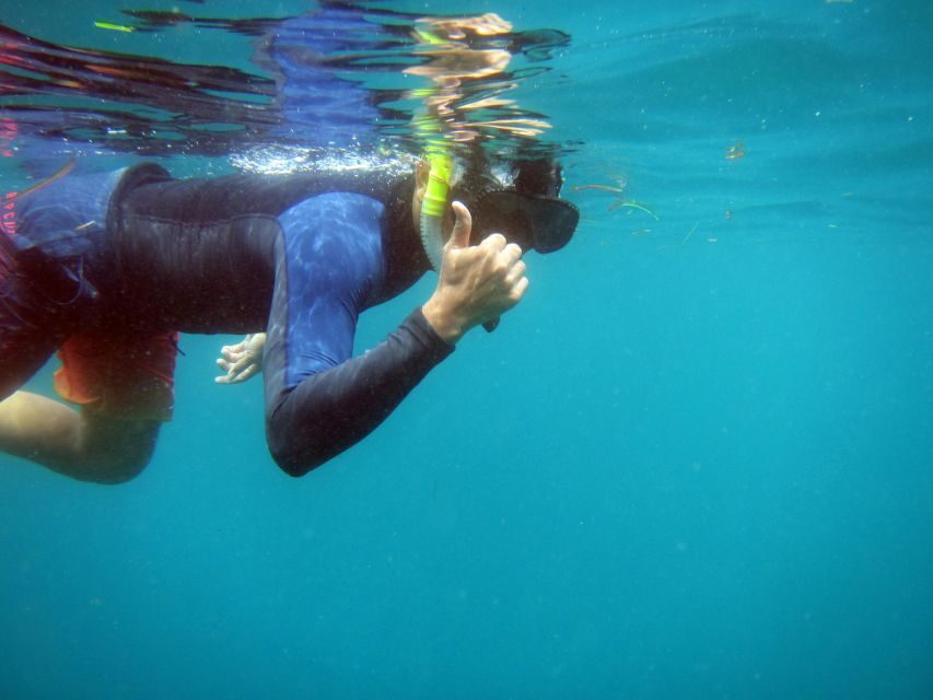 Bali: 1 Hour Snorkeling at Nusa Dua Beach - Who This Snorkel Suits Best (and Who Should Skip It)