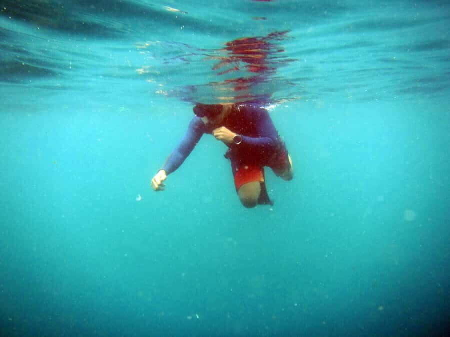 Bali: 1 Hour Snorkeling at Nusa Dua Beach - Meeting Bayu Suta Water Sport and Finding Mr Agung