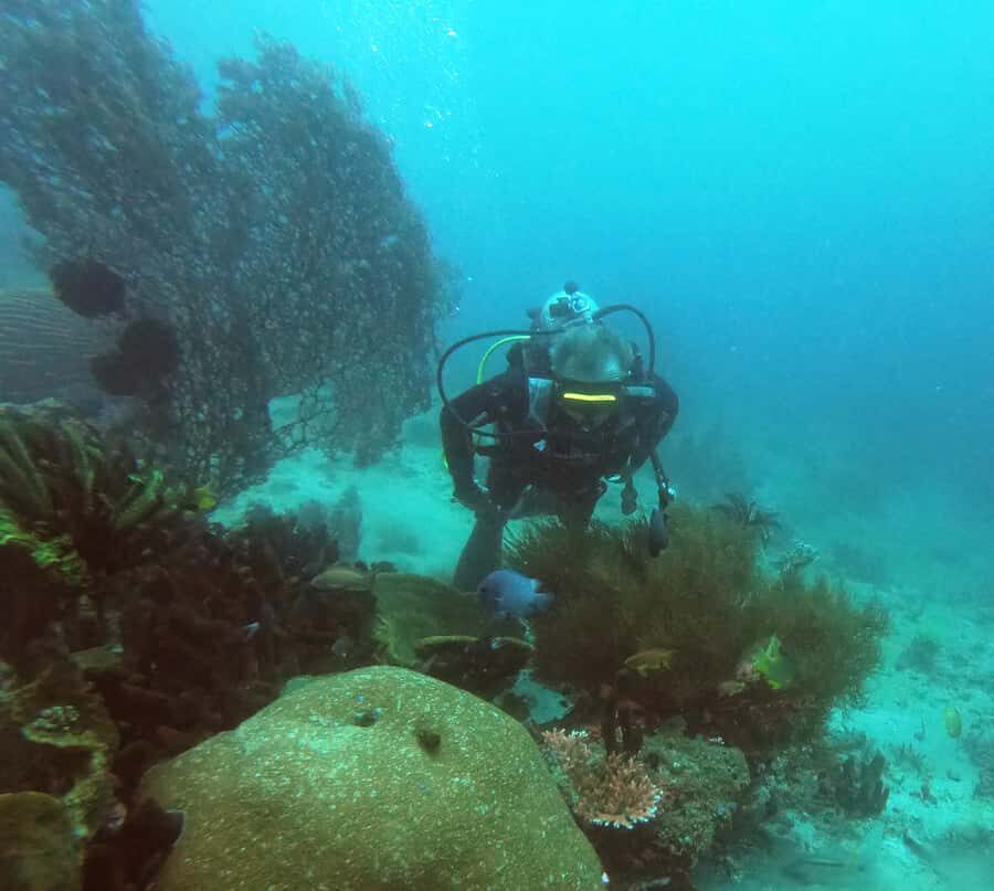Bali: 2-Day PADI Advanced Open Water Course - Pickup timing and the full-day rhythm