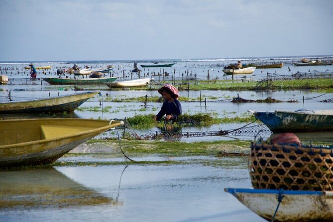 Bali 2 Days and 1 Nights of Nusa Penida and Lembongan Tour - Getting the Most From Every Stop Without Stress