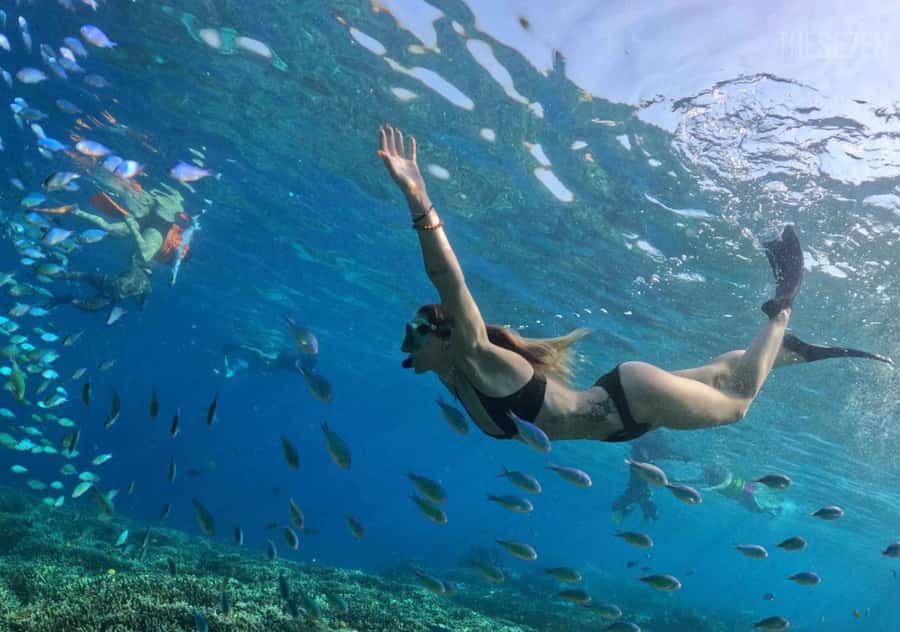 Bali: 3-Day Private Gili Islands Snorkel Tour with Hotel - Your hotel nights: what to expect on Trawangan and Air